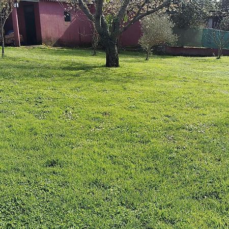 Alojamiento Entero Con Piscina Y Jardin. 奥伦塞 外观 照片